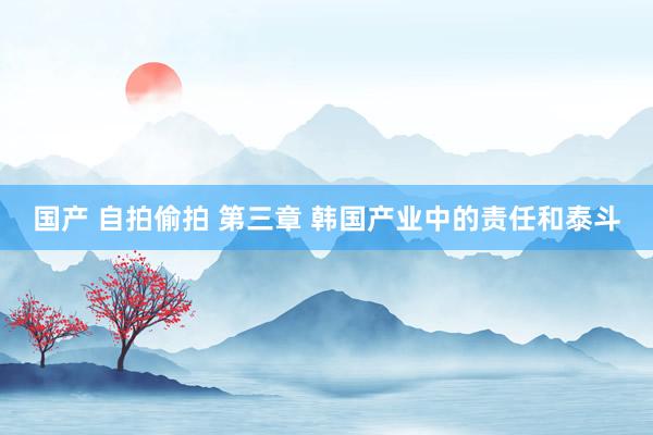 国产 自拍偷拍 第三章 韩国产业中的责任和泰斗