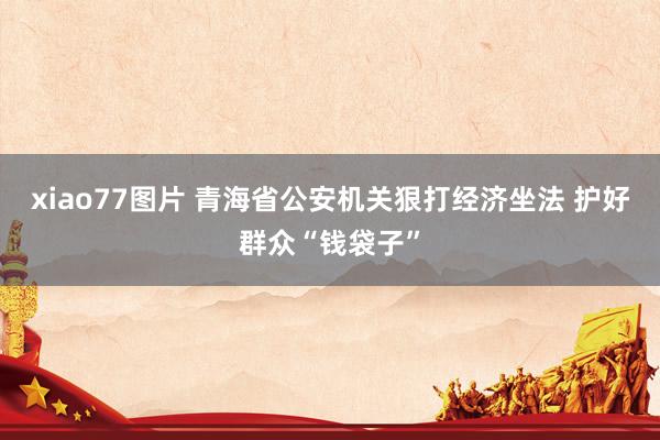 xiao77图片 青海省公安机关狠打经济坐法 护好群众“钱袋子”