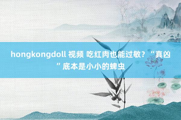 hongkongdoll 视频 吃红肉也能过敏？“真凶”底本是小小的蜱虫