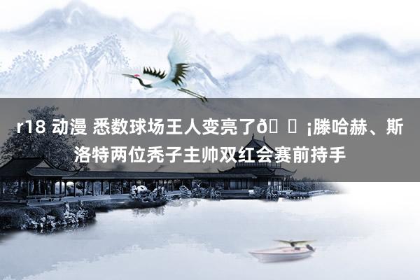 r18 动漫 悉数球场王人变亮了💡滕哈赫、斯洛特两位秃子主帅双红会赛前持手