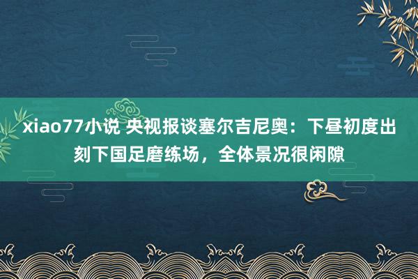 xiao77小说 央视报谈塞尔吉尼奥：下昼初度出刻下国足磨练场，全体景况很闲隙